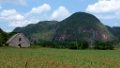VINALES-33