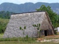 VINALES-35