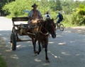 VINALES-38