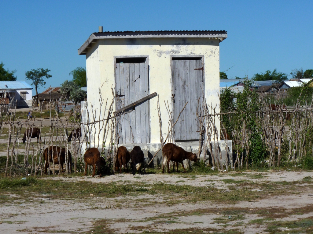 18.JPG - le village des TANALANA