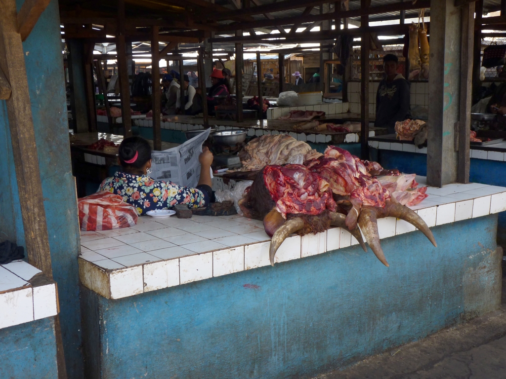 39.JPG - le zébu est très apprécié à Madagascar