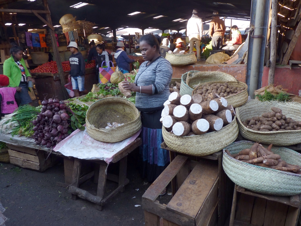 42.JPG - Le manioc est aussi très apprécié