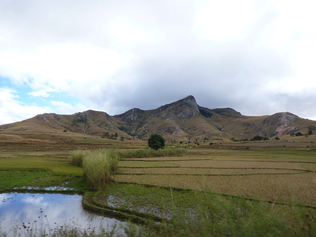 12.JPG - sur la route de la réserve d'ANJA