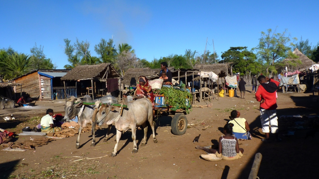 06.JPG - le marché de MANGILY
