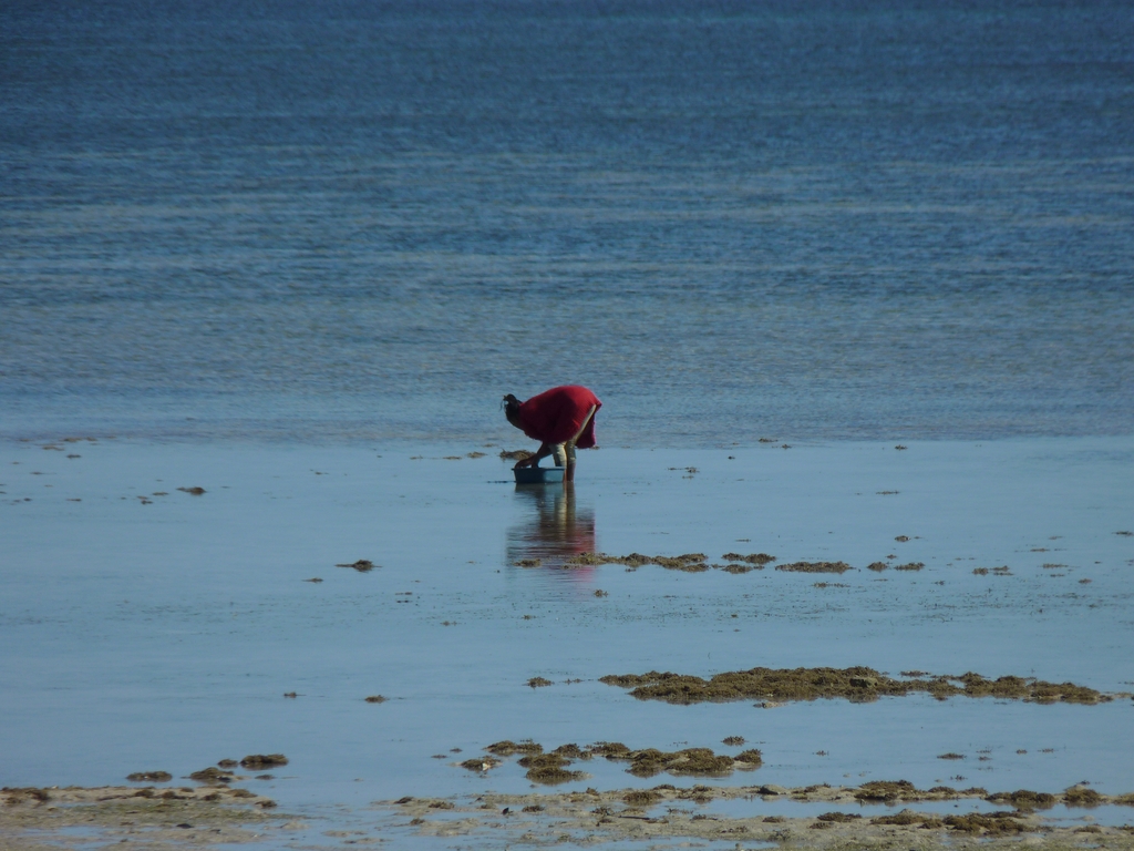 23.JPG - pêche au bord