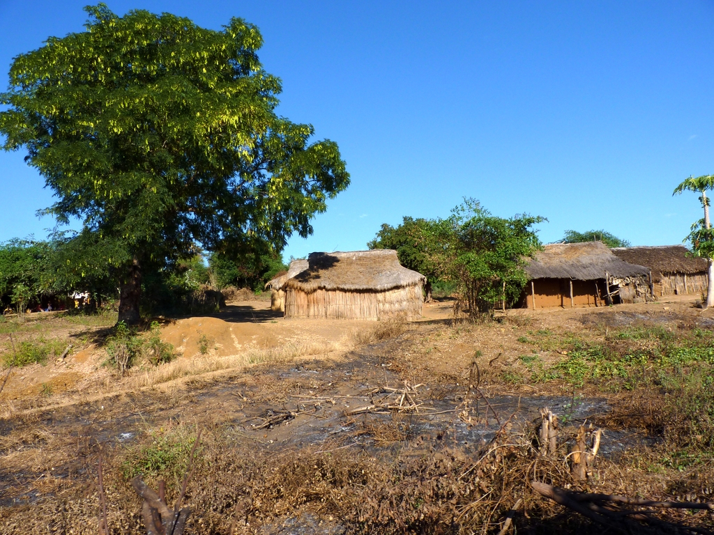 02.JPG - sur la route des TSINGY