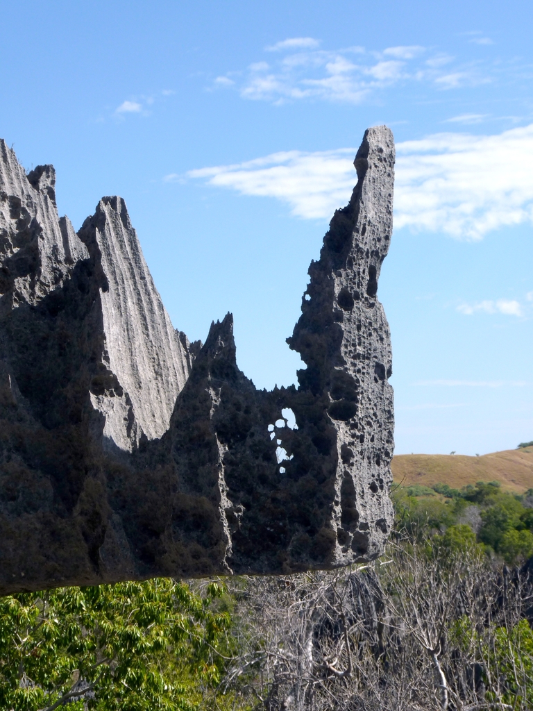 48.JPG - certaines formes sont surprenantes