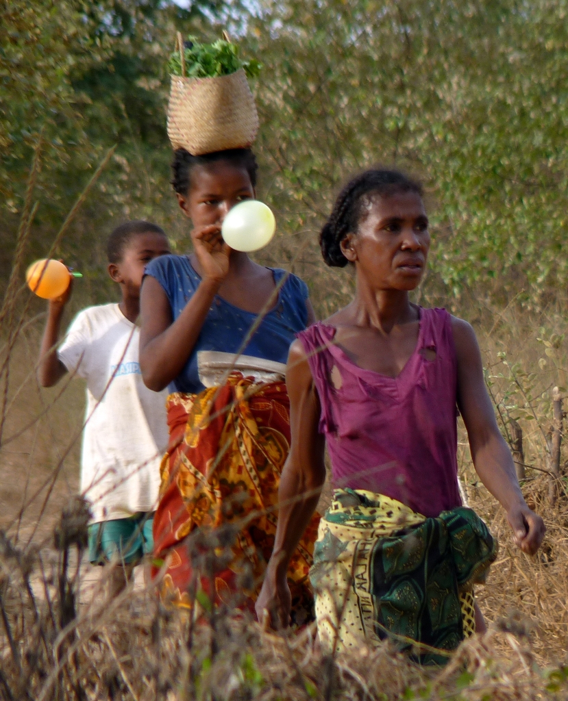 71.JPG - sur la route pour l'allée des baobabs