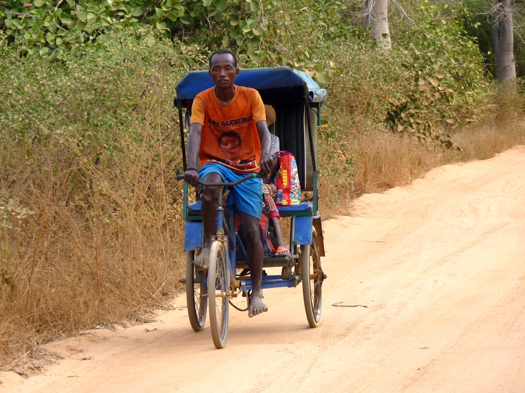 73.JPG - sur la route pour l'allée des baobabs