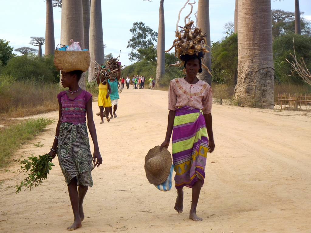 75.JPG - sur la route pour l'allée des baobabs