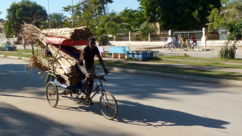 15.JPG - les cyclo-pousse transportent tout
