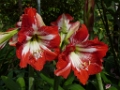 P1040485