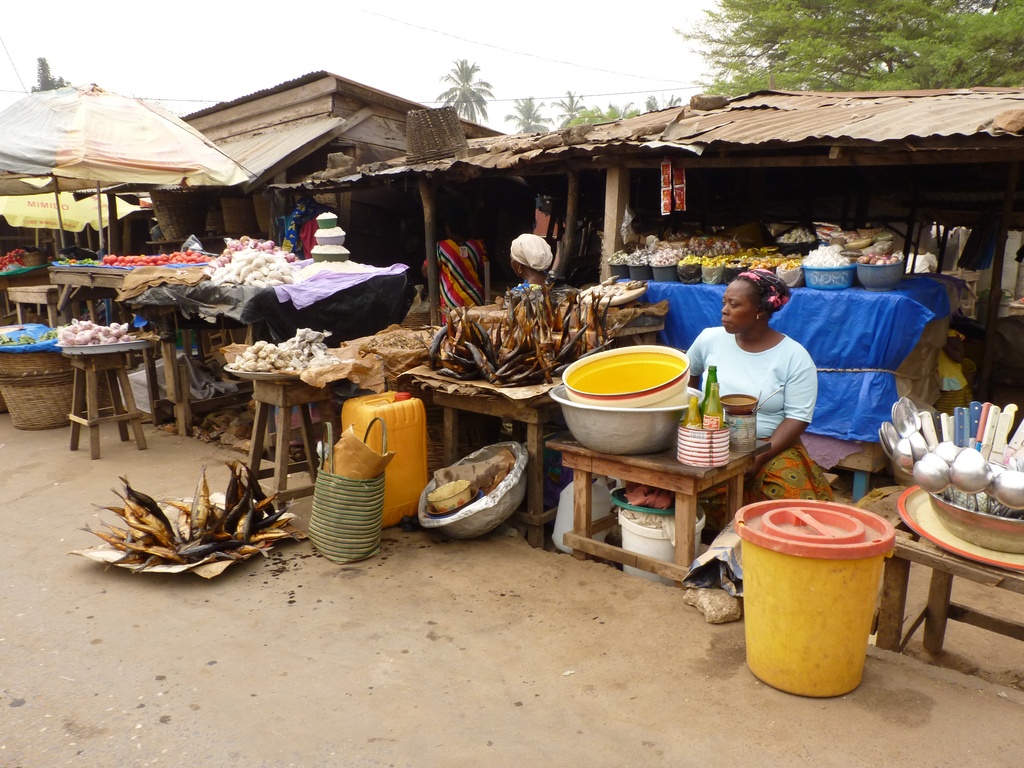KPALIME-20.JPG - Vendeuse de poissons séchés (KPALIMÉ)