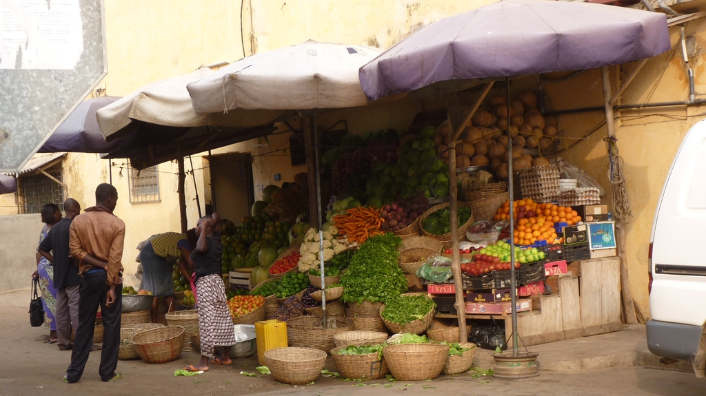 LOME-13.JPG - Petit maraîcher (LOMÉ)