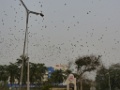 LOME-21
