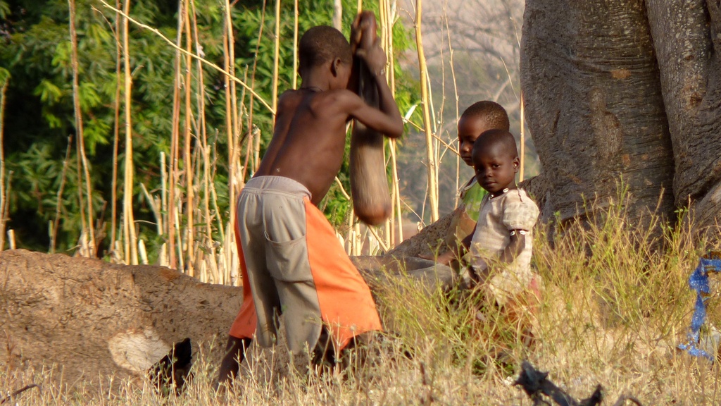 WARANGO-19.JPG - Les enfants préparent le repas (du FUFU)