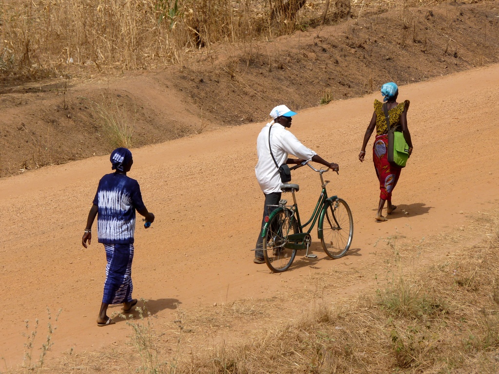 WARANGO-31.JPG - Sur la route du marché