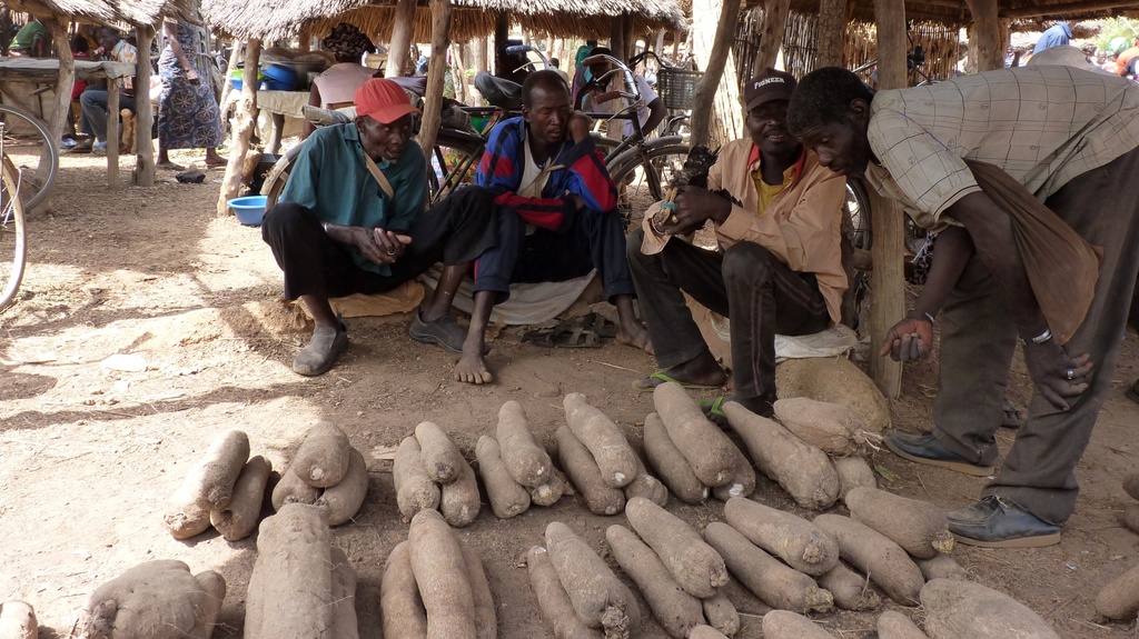 WARANGO-40.JPG - Des ignames (marché de NANDOHA)
