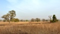 WARANGO-03