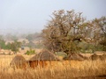 WARANGO-04