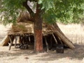 WARANGO-13